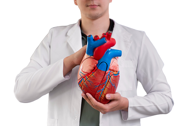 Кардиология