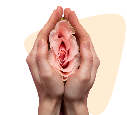 УЗИ ОРГАНОВ МАЛОГО ТАЗА — БЕСПЛАТНО